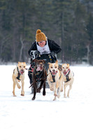 Sled Dogs-Tamworth-March 2019